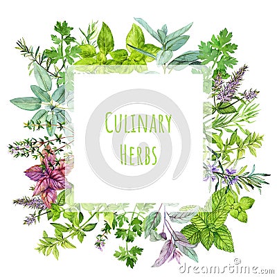 Square banner with watercolor kitchen herbs and plants Vector Illustration