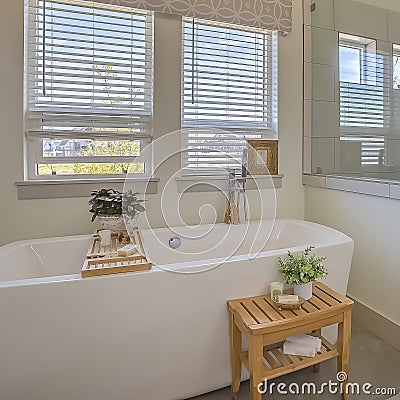 Square Bathtub and shower stall in front of windows with valance and blinds Stock Photo