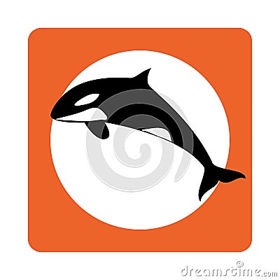 Square border with whale aquatic animal Vector Illustration