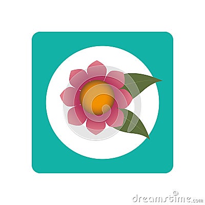 Square button with blossom and leaves Vector Illustration