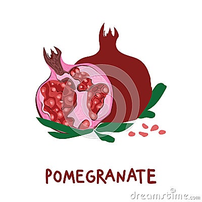 Square card with hand drawn pomegranate and leaves. Colorful illustration Vector Illustration