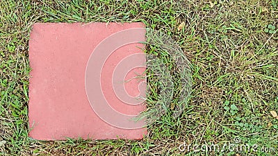 Square colored bricks on green grass, empty space on bricks. Stock Photo