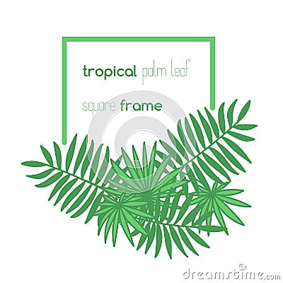 Square copyspace frame with palm leaves Vector Illustration