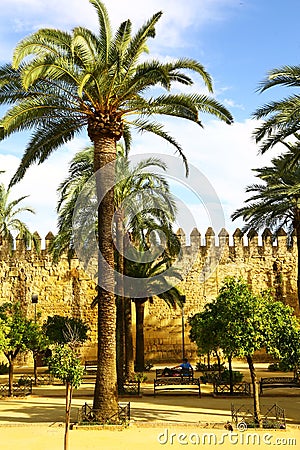 Square in Cordoba with palms & walls, Spain Editorial Stock Photo