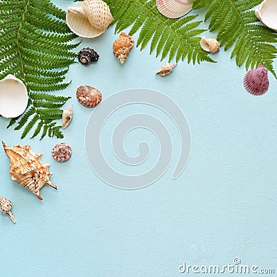 Square Flat lay. Top view. Frame of shells of various kinds on a blue background. Seashells on a pastel background. Stock Photo