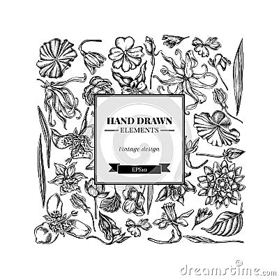 Square floral design with black and white ylang-ylang, impatiens, daffodil, tigridia, lotus, aquilegia Vector Illustration