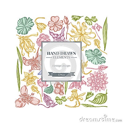 Square floral design with pastel ylang-ylang, impatiens, daffodil, tigridia, lotus, aquilegia Vector Illustration