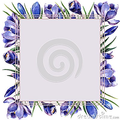 Square floral frame with bouquets of spring crocus flowers. Festive composition with flowering plants. Cartoon Illustration