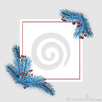 Square frame with blue spruce branches Vector Illustration