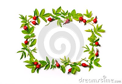 Square frame with leaves and red flowers, berries.Flat lay. Stock Photo