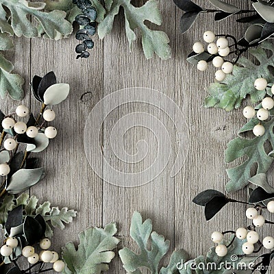 Square frame of silver green leaves and white berries over gray wood Stock Photo