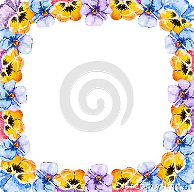 Square frame of watercolor blooming tricolor violet viola pansy flowers on a white background with copy space for text in the Stock Photo