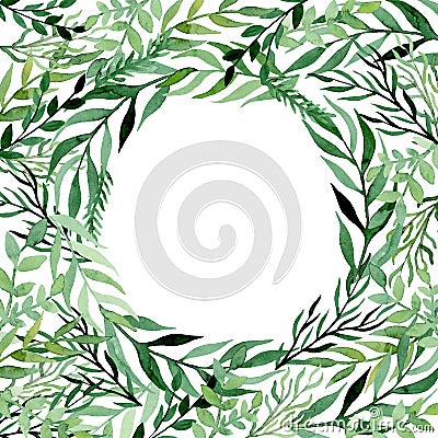 Square Frame With Watercolor Green Leaves and Herbs Stock Photo