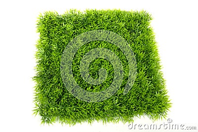 Square green grass Stock Photo