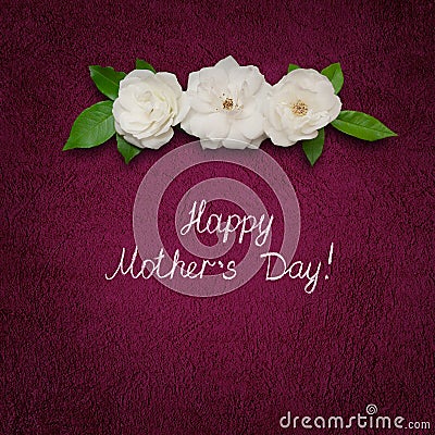 Square greeting card Happy Mothers Day with white rose flowers Stock Photo