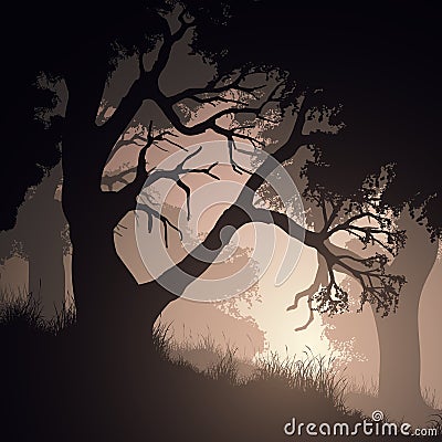 Square illustration within forest. Vector Illustration