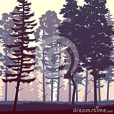 Square illustration of morning rare forest. Vector Illustration