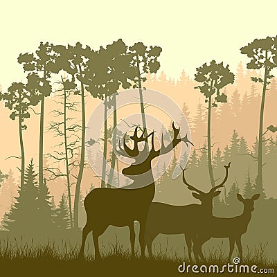 Square illustration of wild elk on edge of forest. Vector Illustration