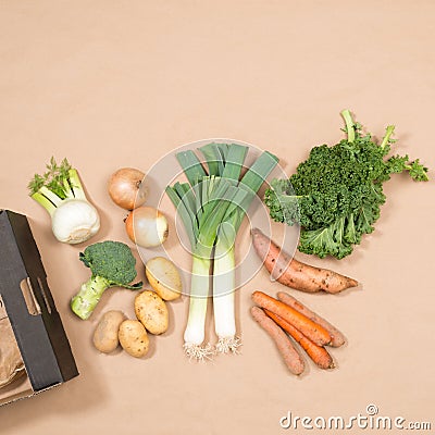 Square Image of Small Assortment of Fresh Vegetables Stock Photo