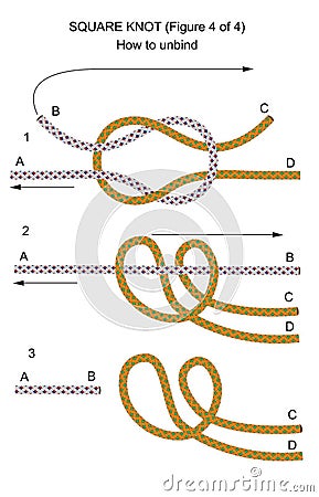 Square knot (illustration 4 of 4) Vector Illustration