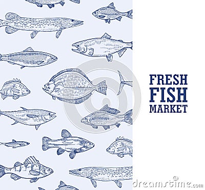 Square monochrome banner template with fish living in sea, ocean or river hand drawn with contour lines on blue Vector Illustration