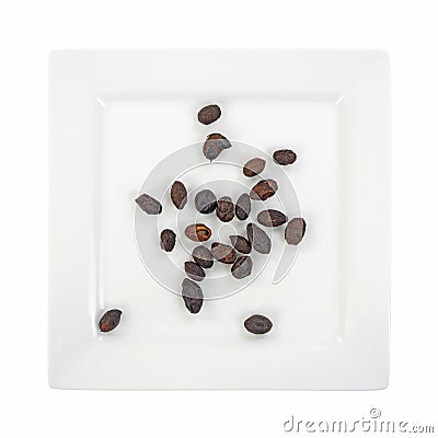 Square plate with saw palmetto berries Stock Photo