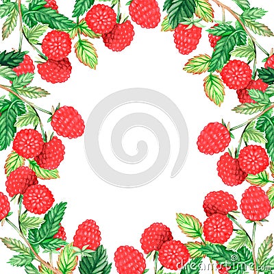 Square raspberry frame. Watercolor illustration. Isolated on a white background. For design. Cartoon Illustration