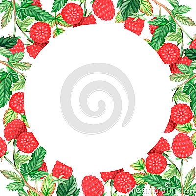 Square raspberry frame. Watercolor illustration. Isolated on a white background. For design. Cartoon Illustration