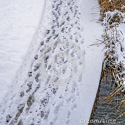 Square Snowy trail along Oquirrh Lake with track marks Stock Photo