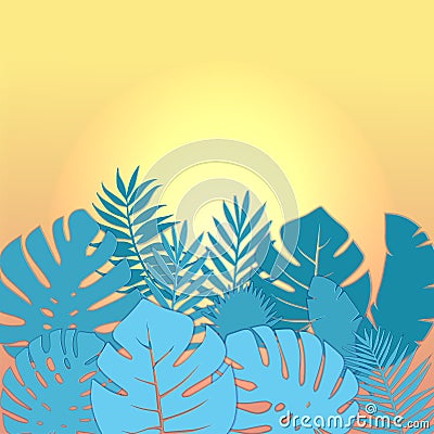 Square Summer sale banner design with paper cut tropical palm leaves background with free space fot text. Vector illustration. Cartoon Illustration