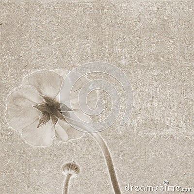 Square vintage texture with flower flip side Stock Photo