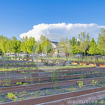 Square White puffy clouds Community garden with wood planks walls at Daybreak in South Jordan, Utah Stock Photo