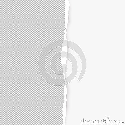 Squared ripped vertical grey paper for text or message are on white background. Vector illustration Vector Illustration