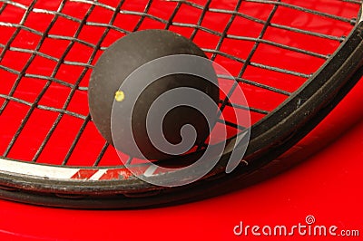 Squash Stock Photo