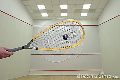 Squash Stock Photo