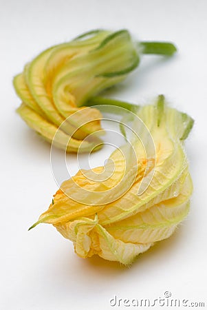 Squash blossoms or pumpkin flowers Stock Photo