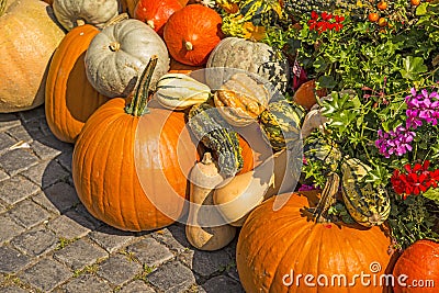 Squash for decoration in a street in Germany Stock Photo