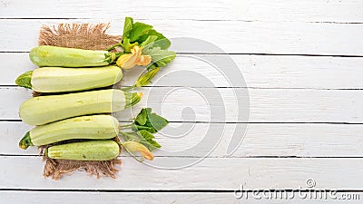 Squash Marrow zucchini. Fresh vegetables. Stock Photo