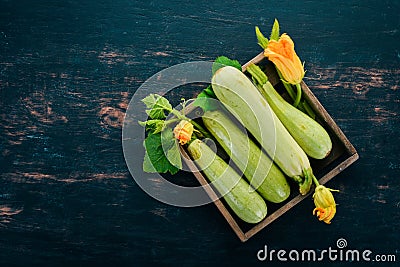 Squash Marrow zucchini in a wooden box on a black table. Stock Photo