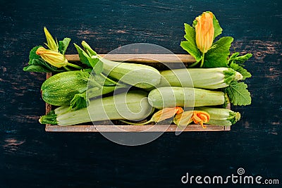 Squash Marrow zucchini in a wooden box on a black table. Stock Photo