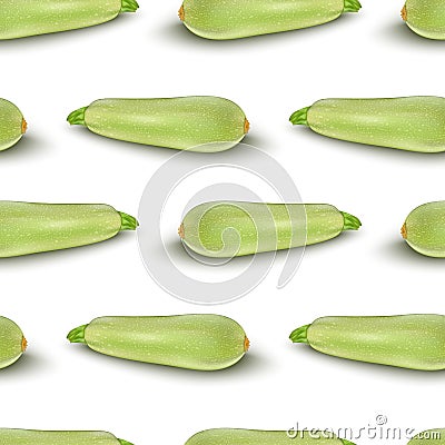 Squash vegetable marrow zucchini isolated on white Vector Illustration