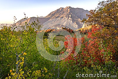 Squaw Peak is seen behind the colorful autumn foliage, Utah, USA Stock Photo