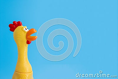 Squeaky chicken toy on blue background. Rubber toy chicken on blue background Stock Photo