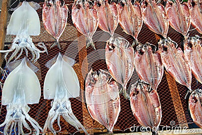 Squid and fish drying Stock Photo