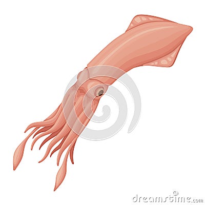 Squid icon, sea animal, ocean food for cooking Vector Illustration