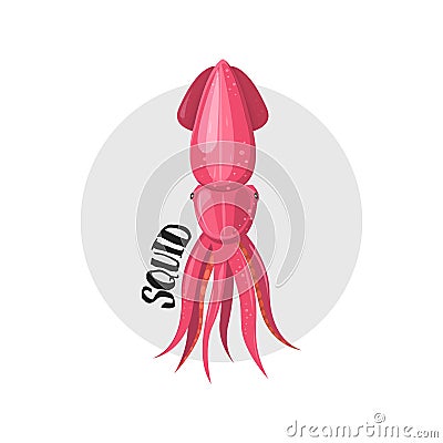 Squid icon. Vector illustration. Seafood. Cartoon character. Vector Illustration