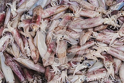 Squids in market Stock Photo