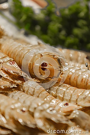 Squilla mantis Mantis shrimp on the fish market Stock Photo