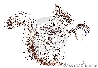 Squirrel with acorn, vector Vector Illustration