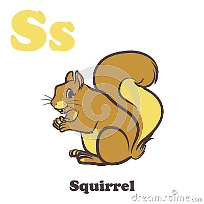 S for Squirrel Vector Illustration